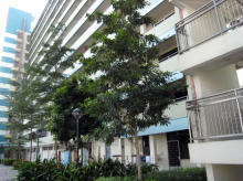 Blk 37 Jalan Rumah Tinggi (Bukit Merah), HDB 3 Rooms #22282